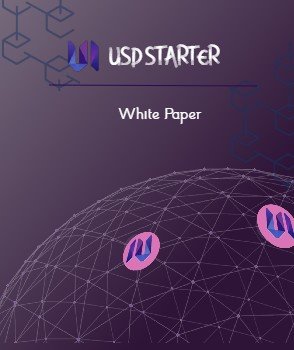 Usdstarter whitepaper